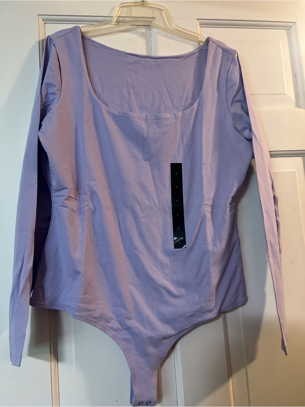 Banana Republic Lavender Long-Sleeve Scoop Neck Bodysuit